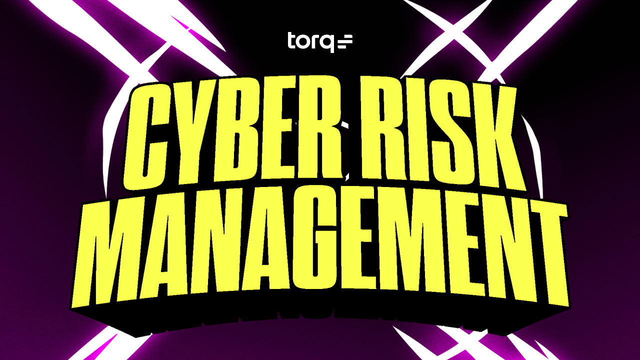 Cyber Risk Management: How to Identify, Assess, Mitigate, and Monitor Digital Risk With Torq